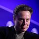 Elon Musk's X lifts price for premium-plus tier to pay creators